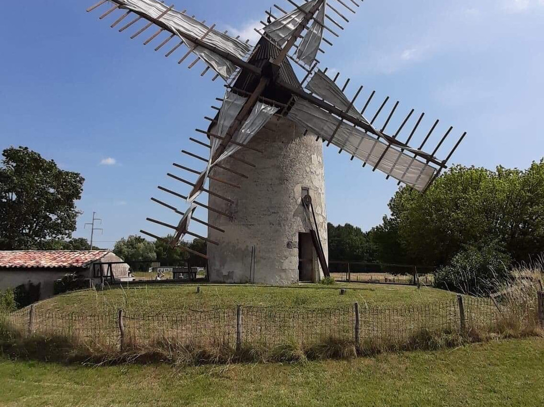 Moulin de Vensac景点图片