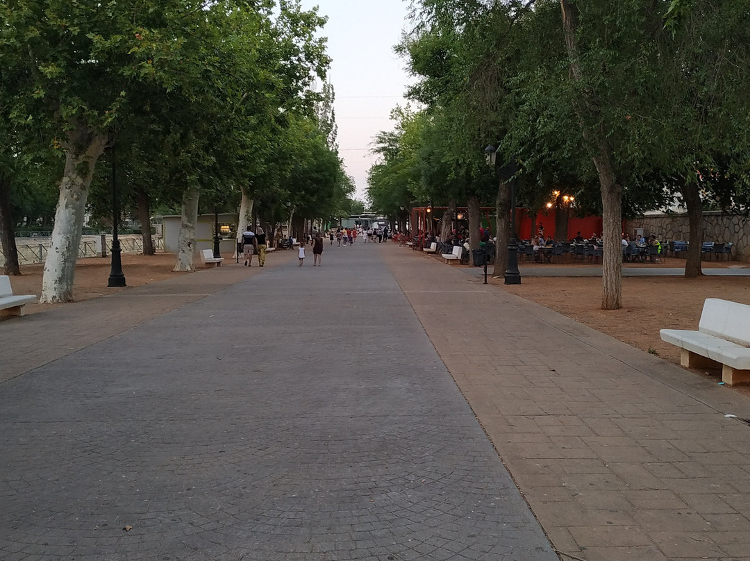 Plaza de Espana景点图片