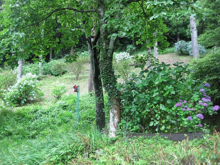 Himenosawa Park-热海市必去景点