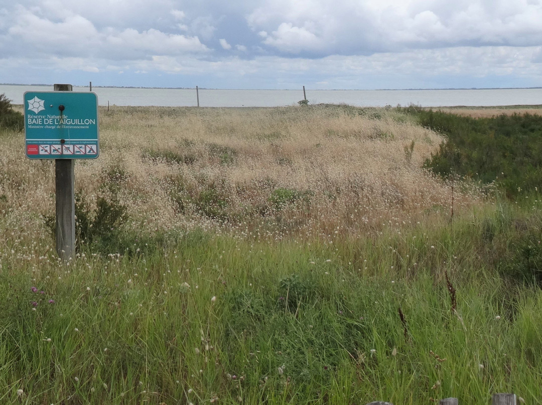 Réserve naturelle nationale de la Baie de l’Aiguillon景点图片