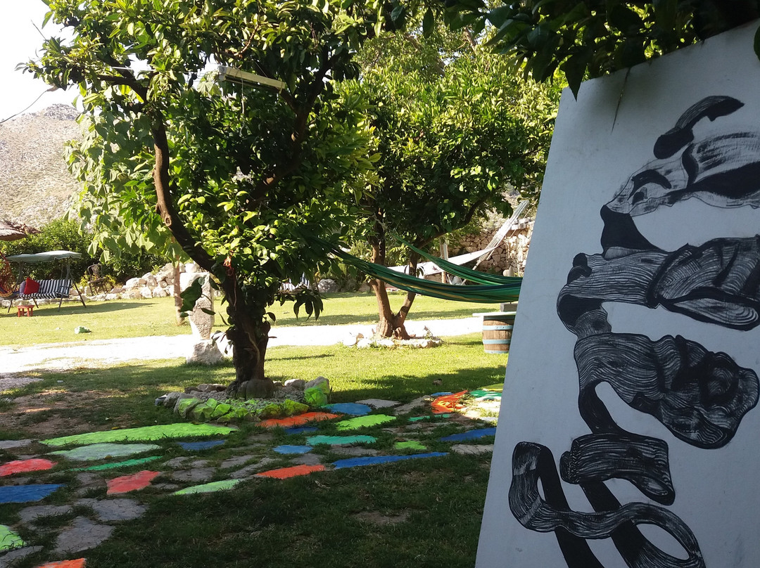 Good Energy Camp