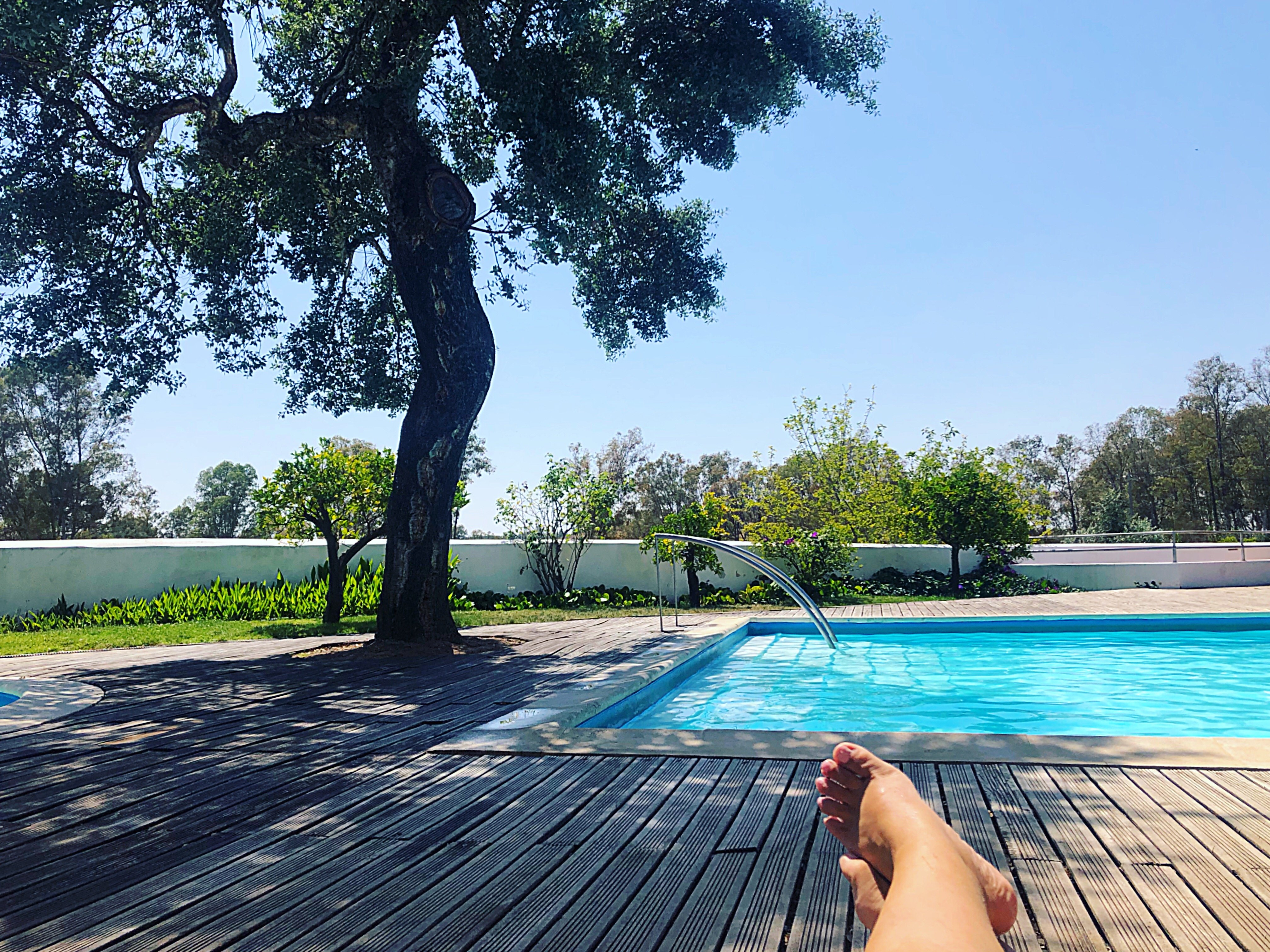 Alentejo Star Hotel-官方