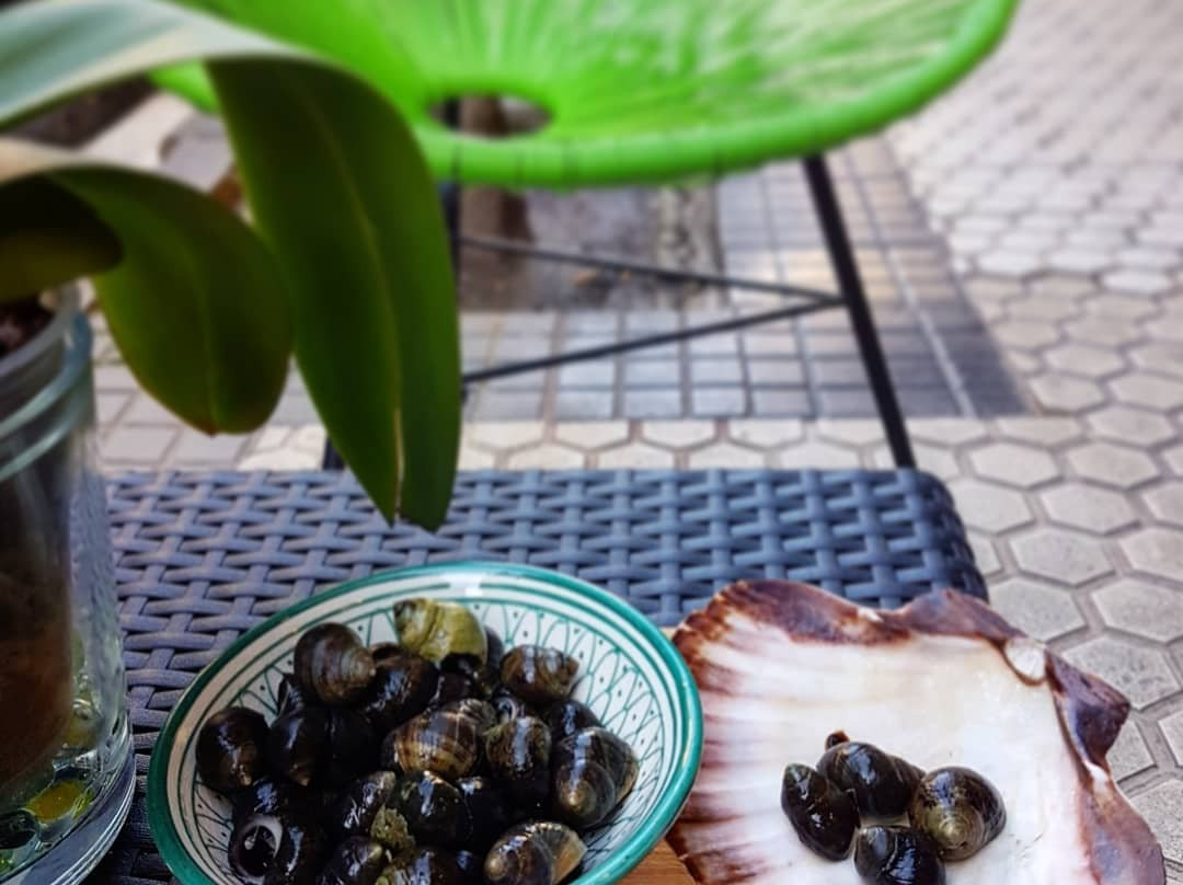 Bar Caracola-圣塞瓦斯蒂安必去景点