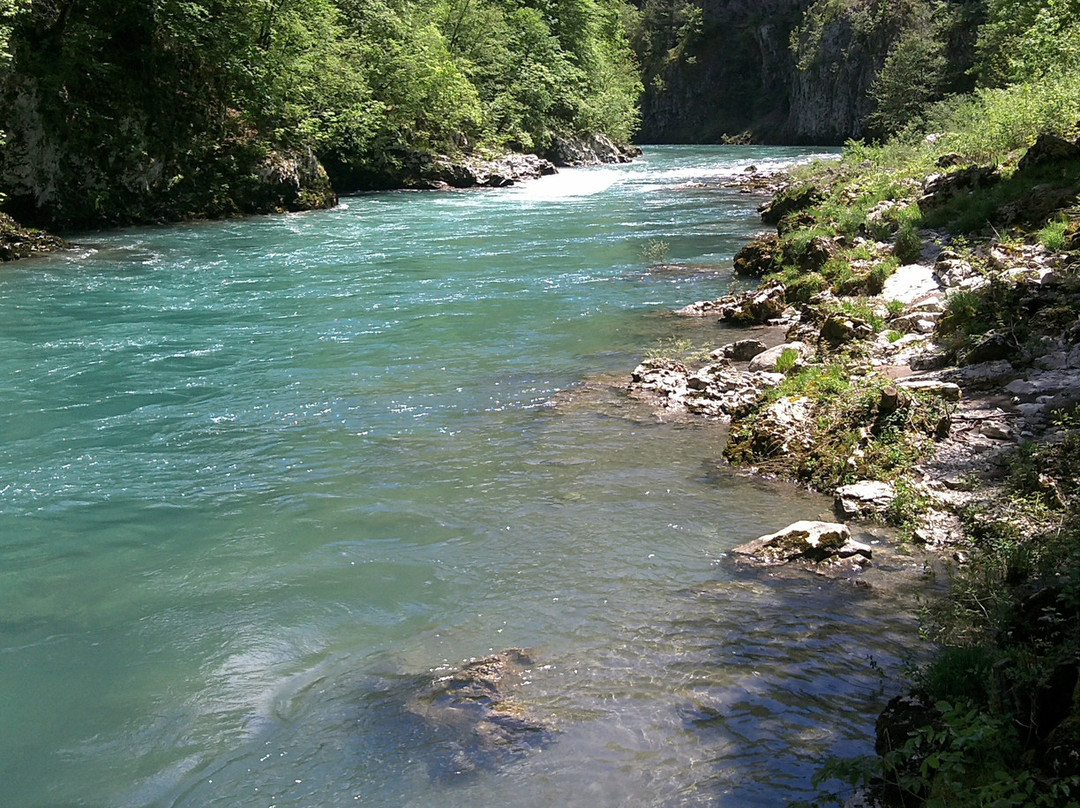 Tara River Canyon景点图片