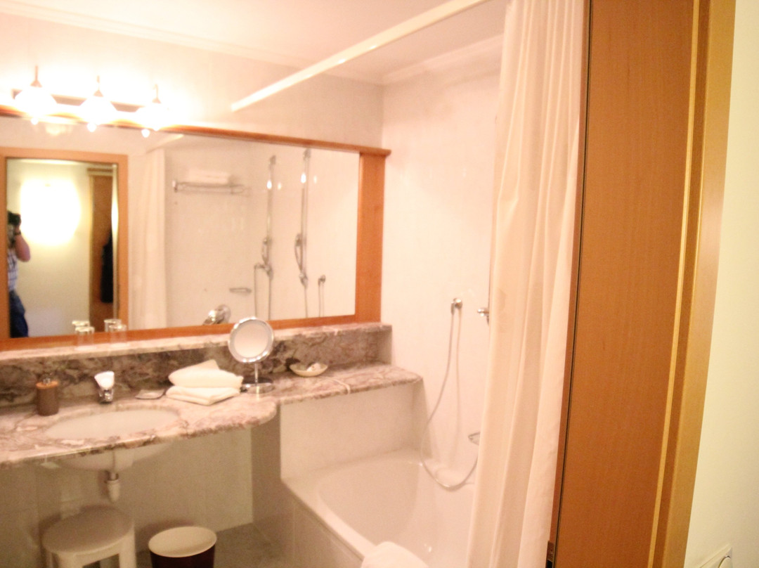 黛安娜费琳酒店主图