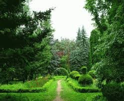 Stepanavan Sochut Dendropark景点图片