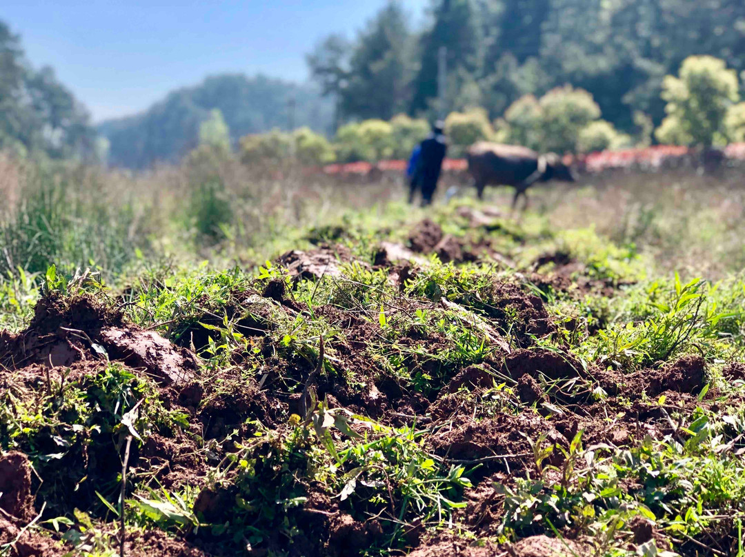 黄山屯溪山城-黄山市必去景点