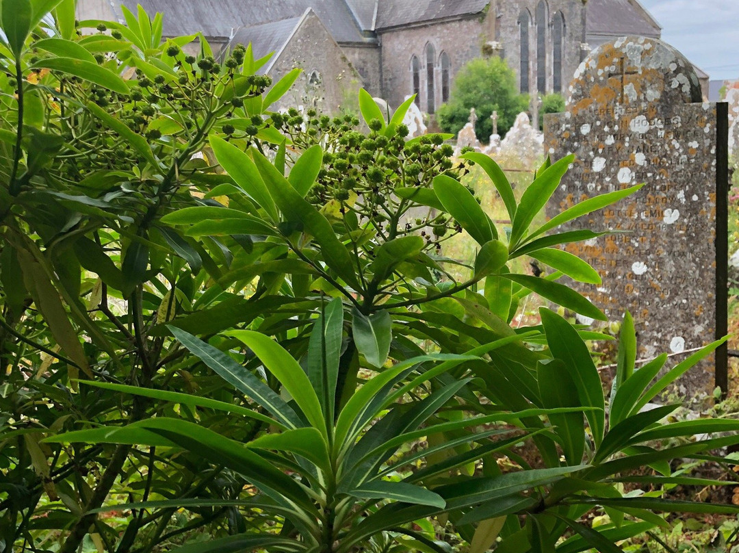 Cloyne Cathedral-Cloyne必去景点