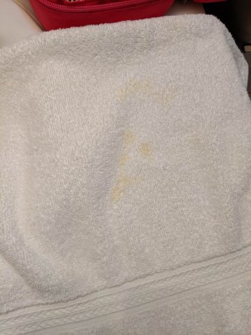 西雅图大学旅居酒店-浴室