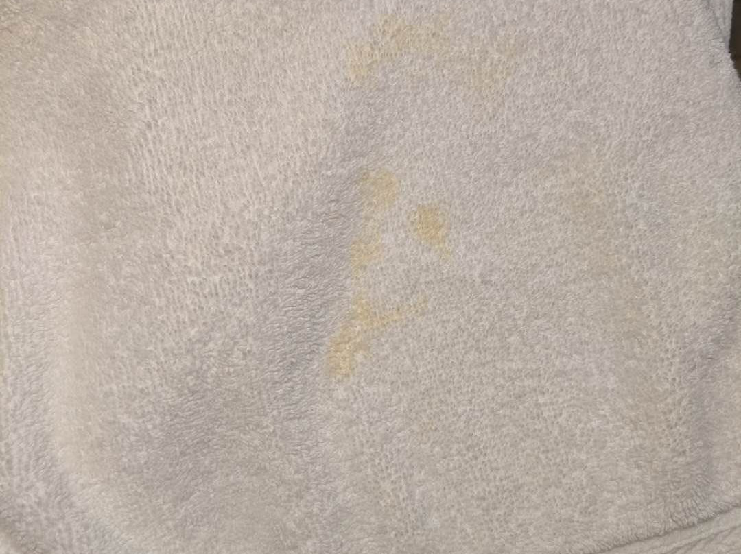 西雅图大学旅居酒店主图