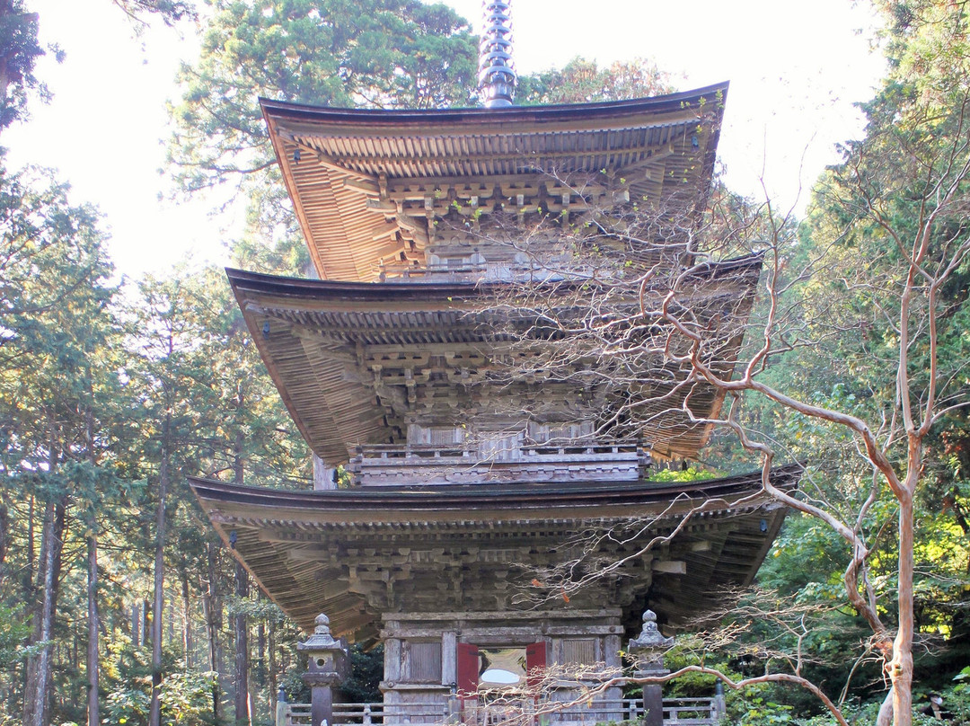 Pagoda at Myotusji Temple景点图片