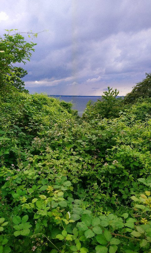 Pålsjö skog-赫尔辛堡必去景点