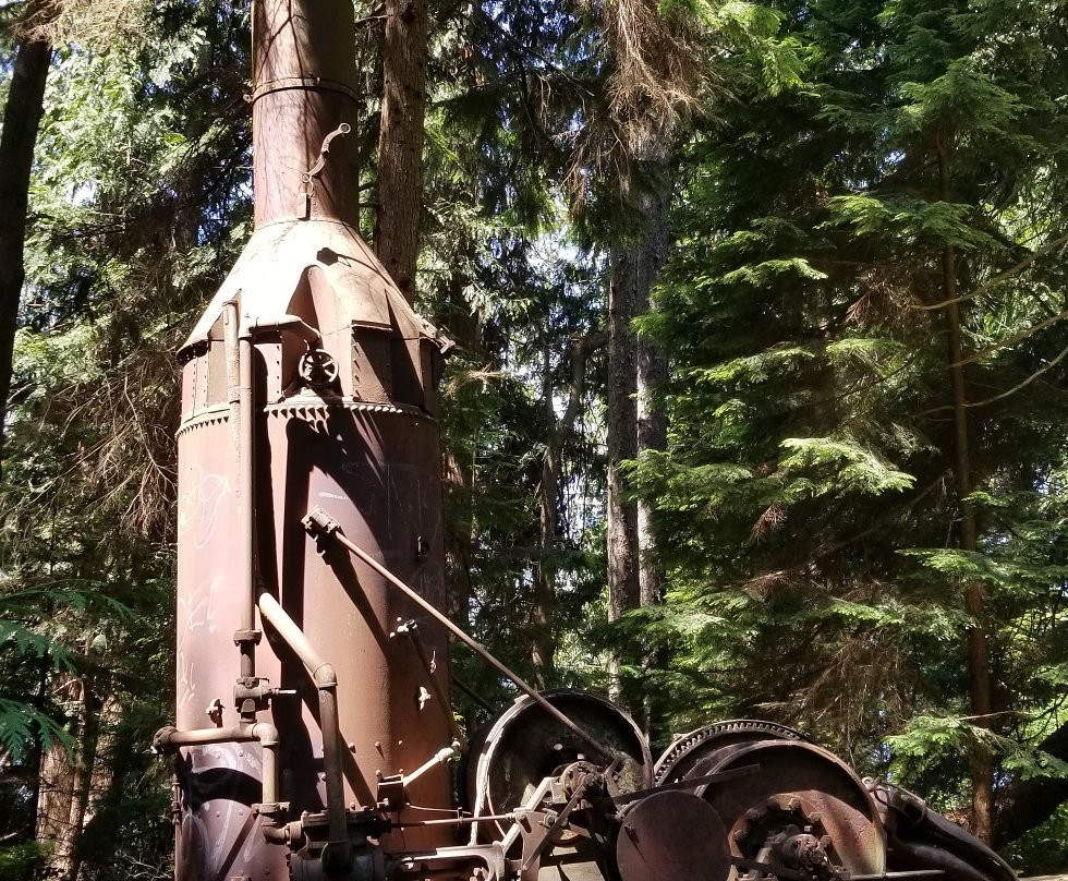 Willingdon Beach Trail-鲍威尔里弗必去景点