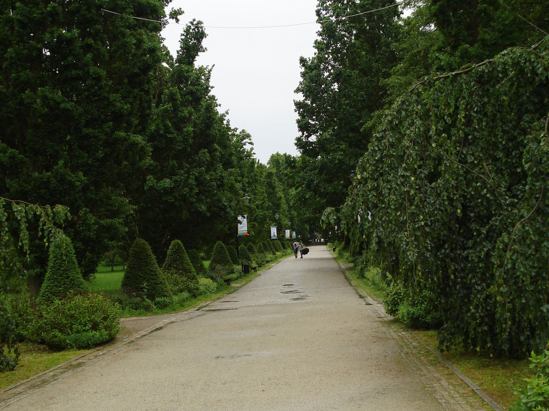 Park Zdrojowy景点图片