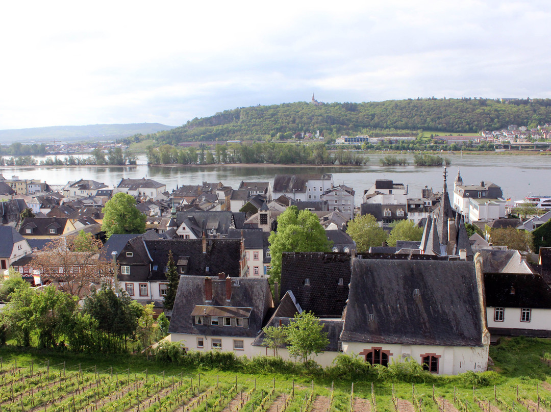 Tourist Information Rudesheim-吕德斯海姆必去景点