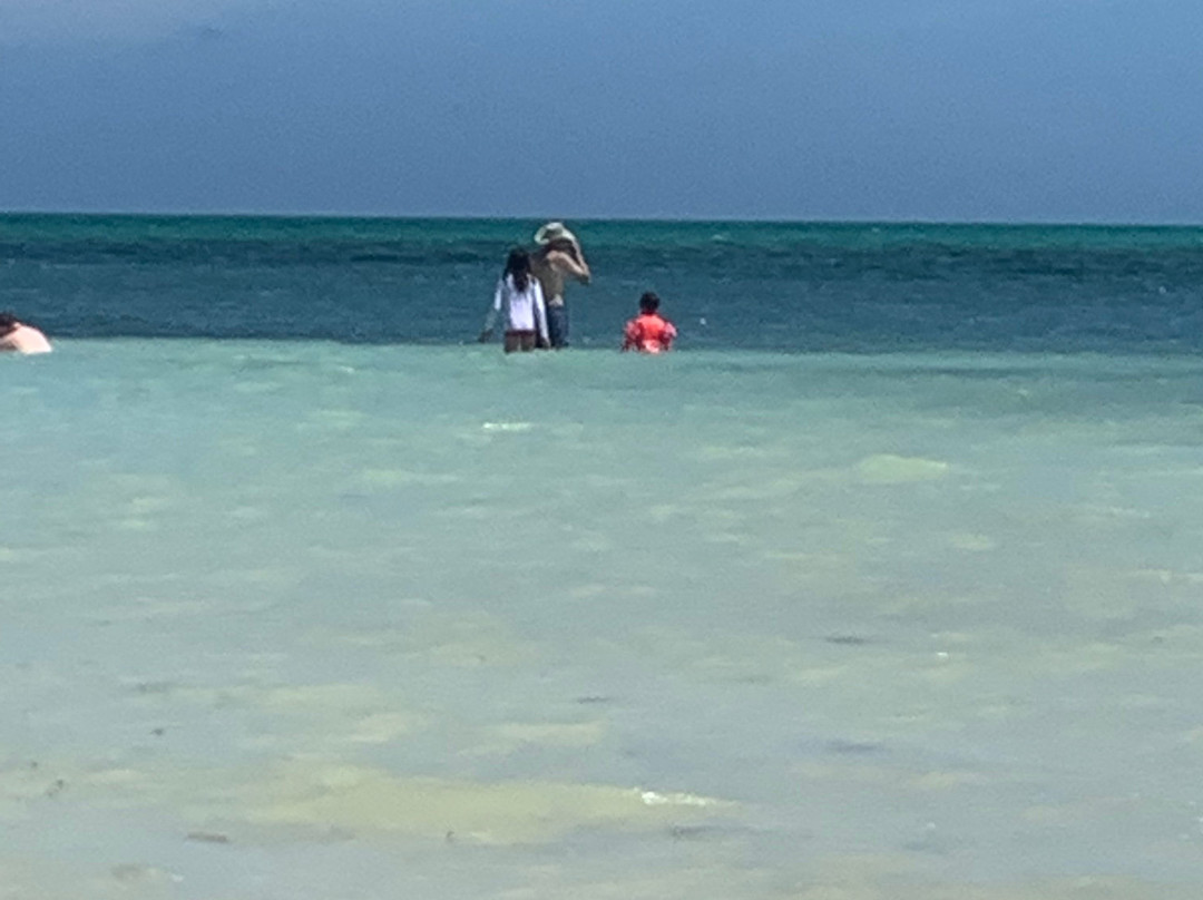 Fortune Beach-弗里波特必去景点