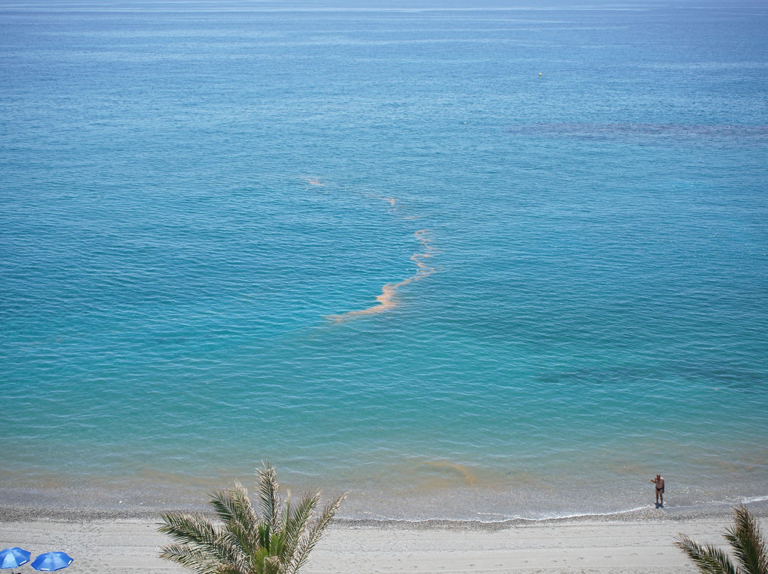 Playa de Torrenueva-Torrenueva必去景点