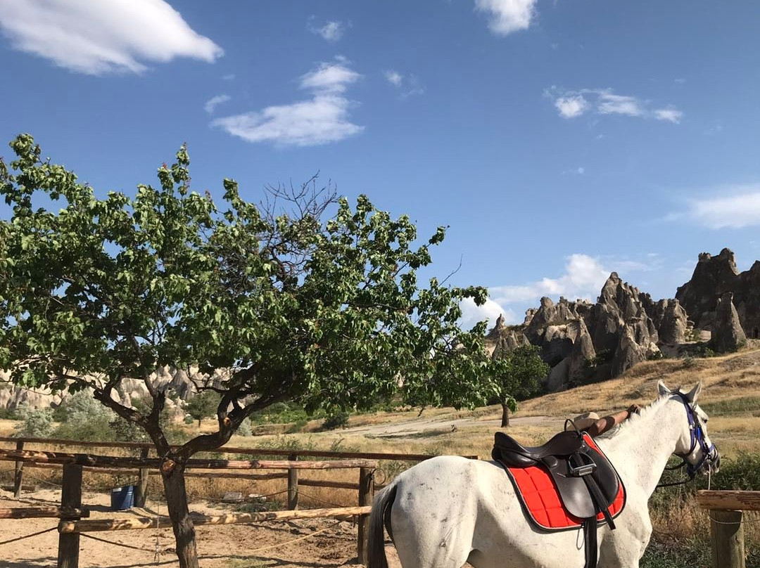 Anatolian Horse Club-格雷梅必去景点