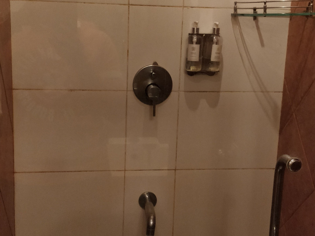 Royal Orchid Central主图