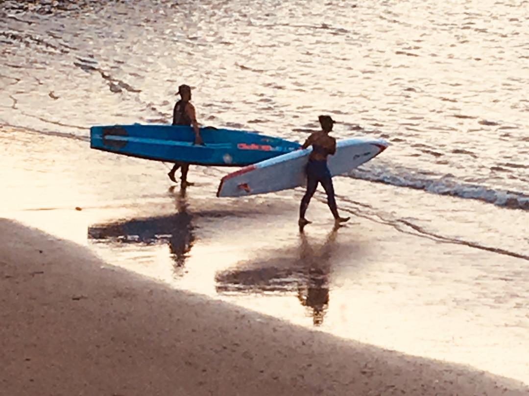 The Beach House主图