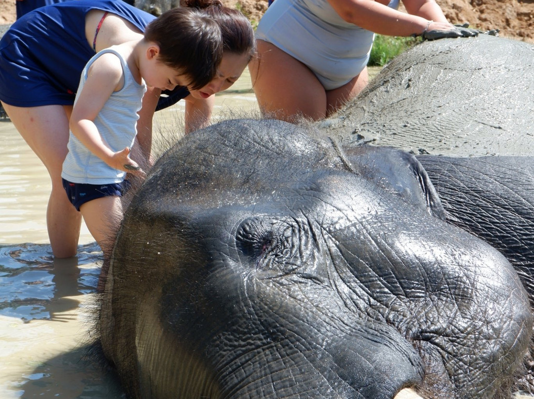 Elephant Care Samui-马叻必去景点