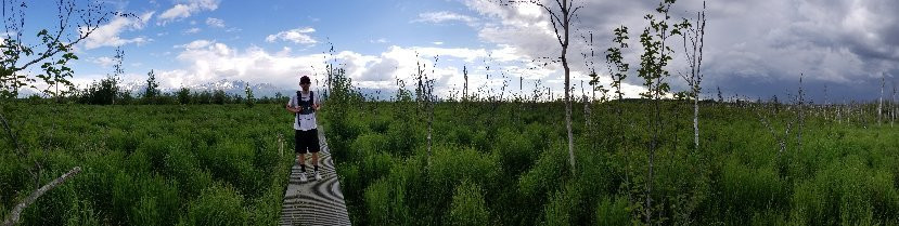 Wasilla Creek Wetlands Trail景点图片