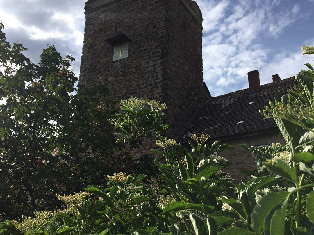 Schloss Allstedt-Allstedt必去景点