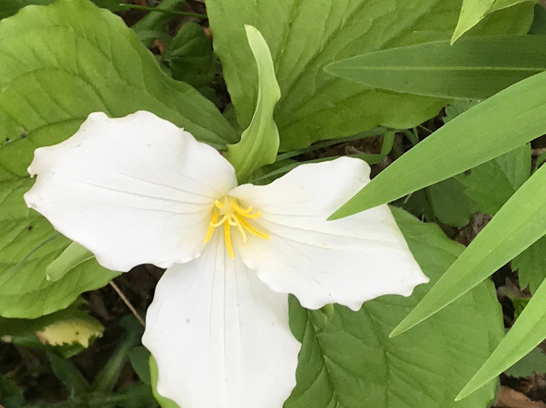 Whitefish Dunes State Park-斯特金贝必去景点