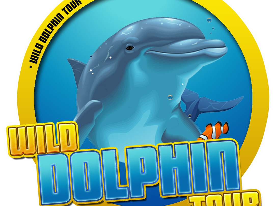Wild Dolphin Tour景点图片