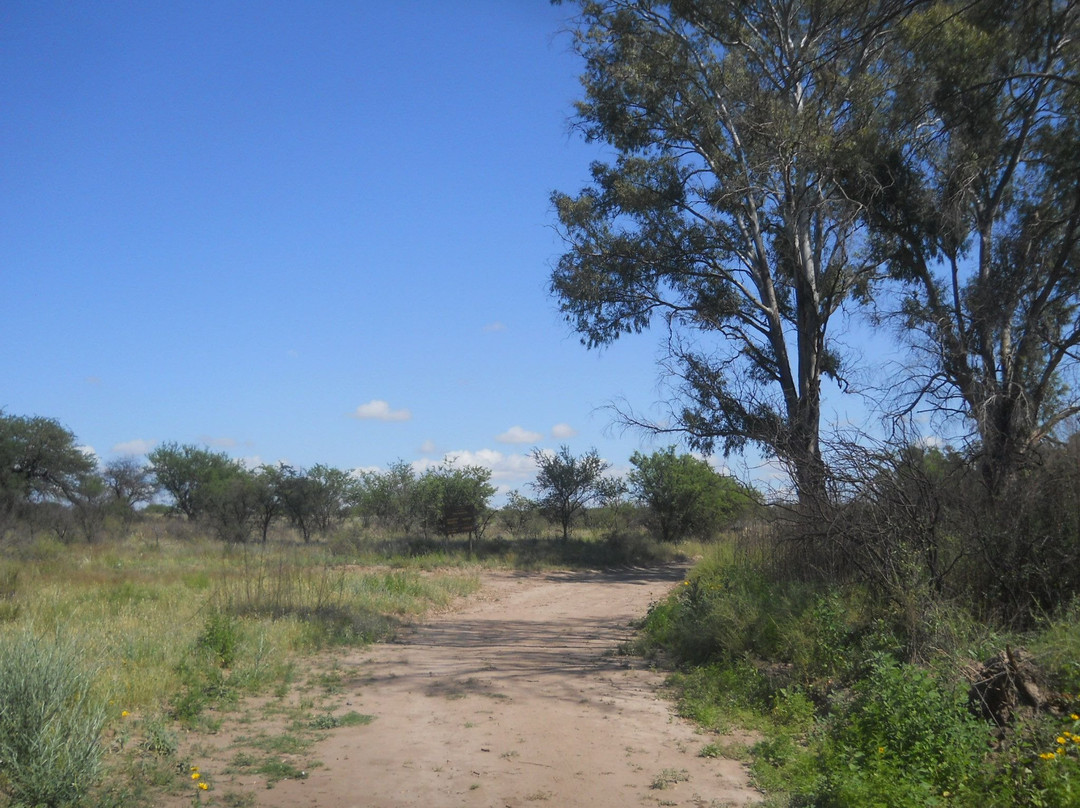 Reserva Natural Urbana la Malvina景点图片