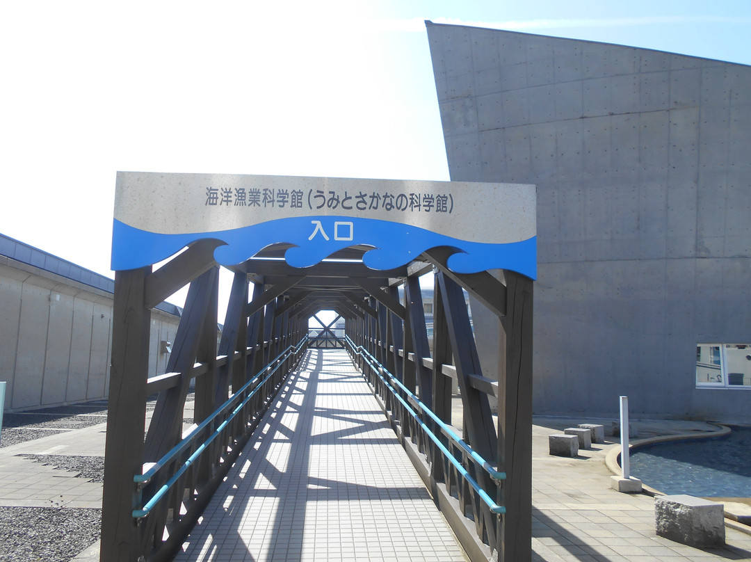 Science Museum of Oceanography and Fisheries景点图片