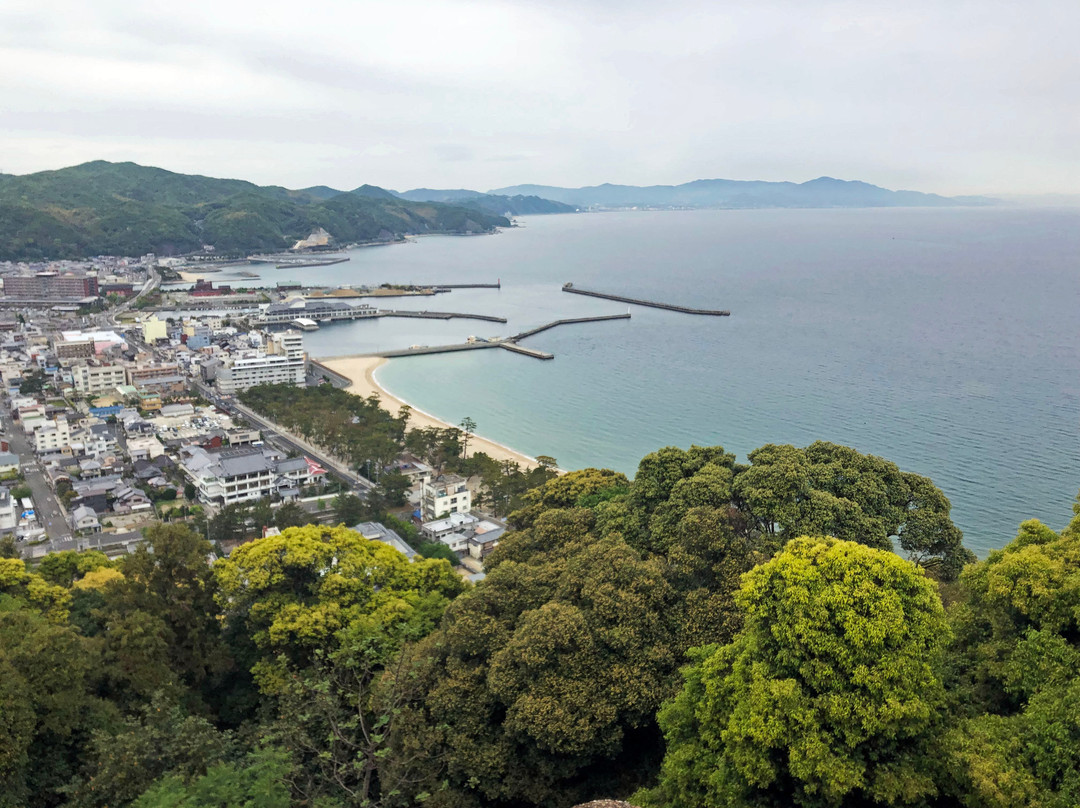 Sumoto Castle景点图片