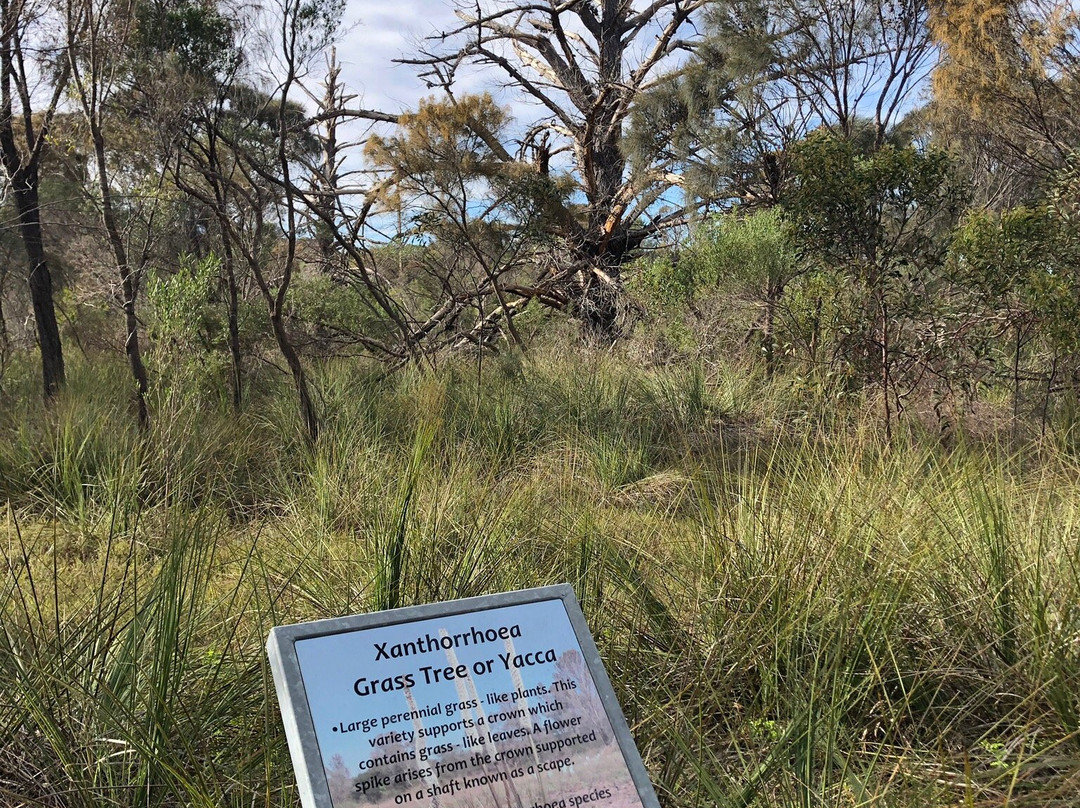 Meningie Lions Self-Guided Walking Trail-Meningie必去景点