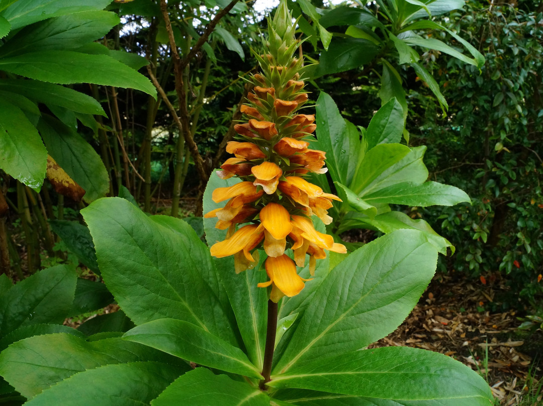 Dhu Varren Garden-Milltown必去景点