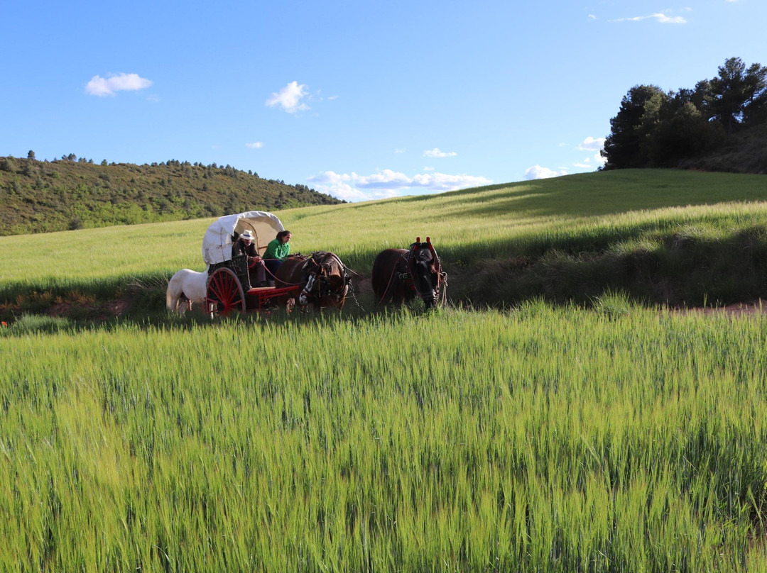 Experiències Rurals景点图片