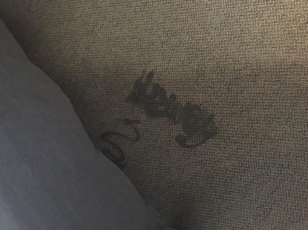 Residence & Conference Centre - Ottawa West主图