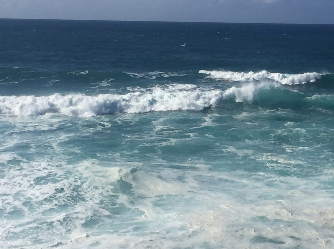 Cape Byron State Conservation Area景点图片