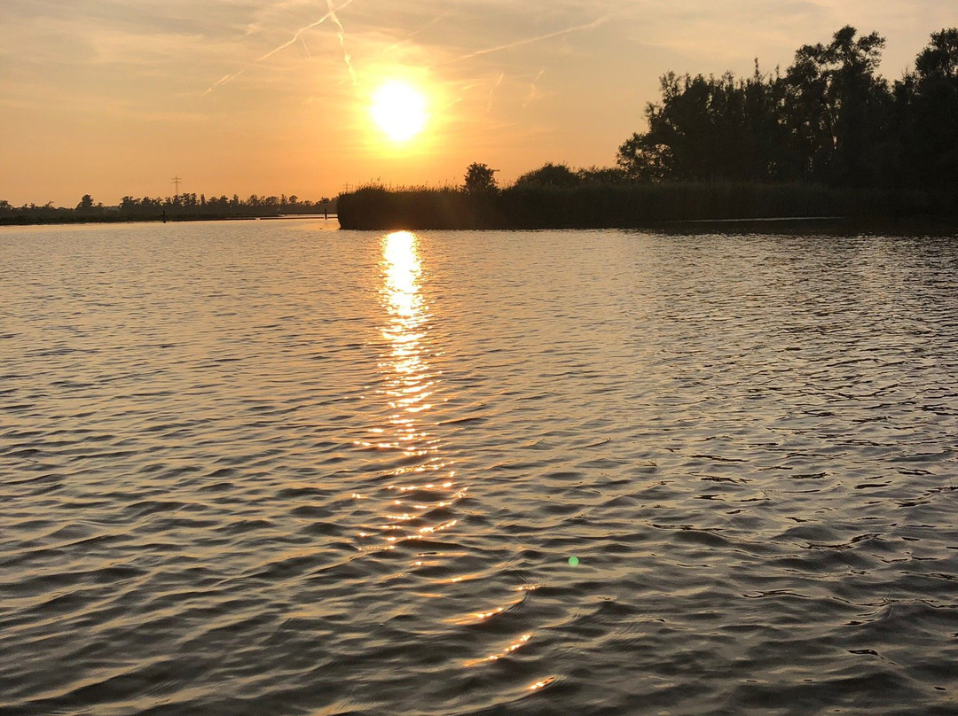Biesbosch Safari-Hank必去景点