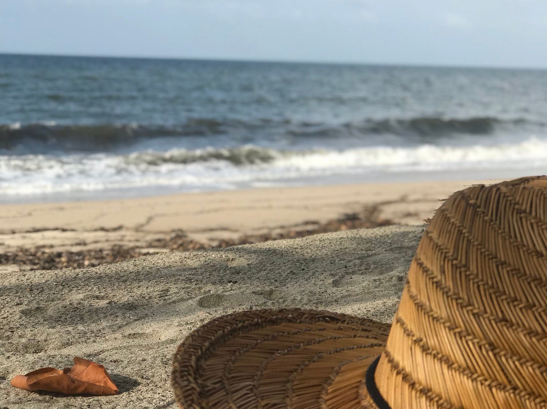 Beach Life Palomino-帕洛米诺必去景点