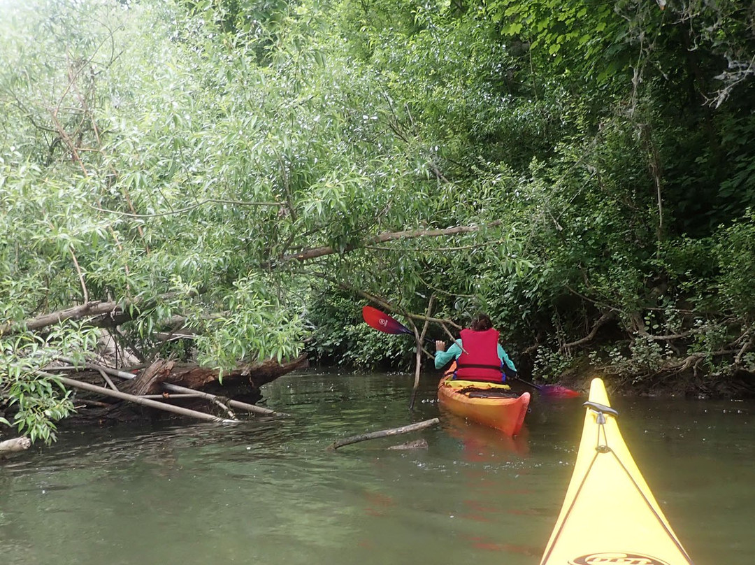 Club de Canoe - Kayak Les Ragondins景点图片