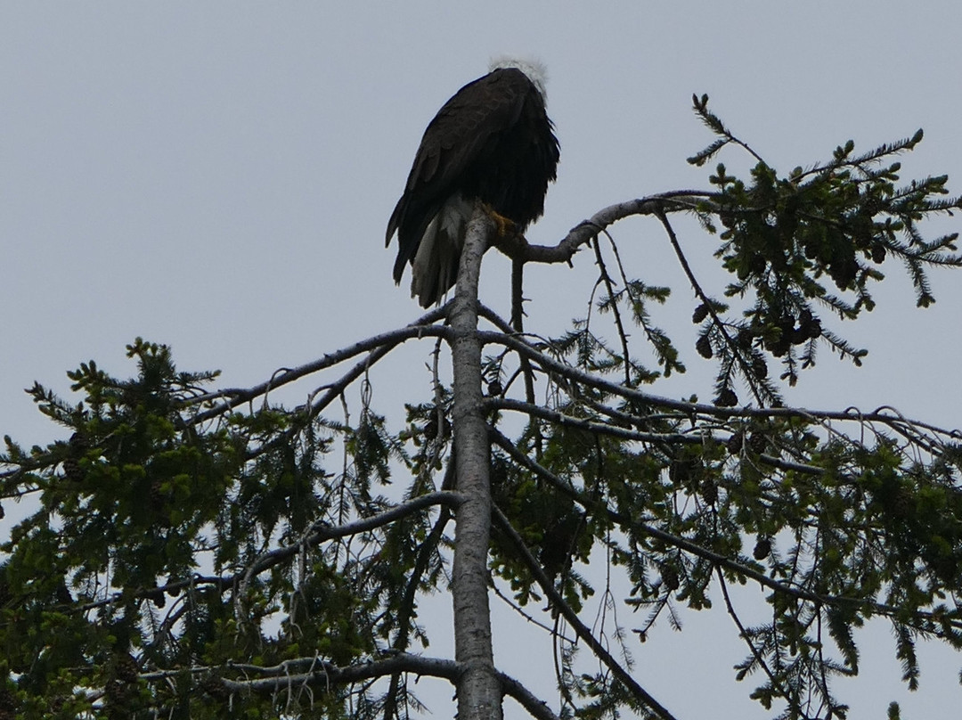 Juniper Lane Guest House主图