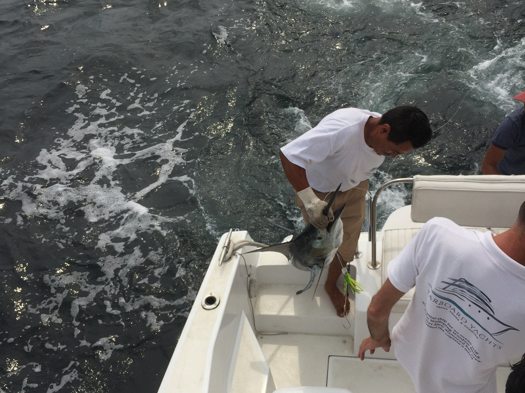 Starboard Yachts-瓦拉塔港必去景点