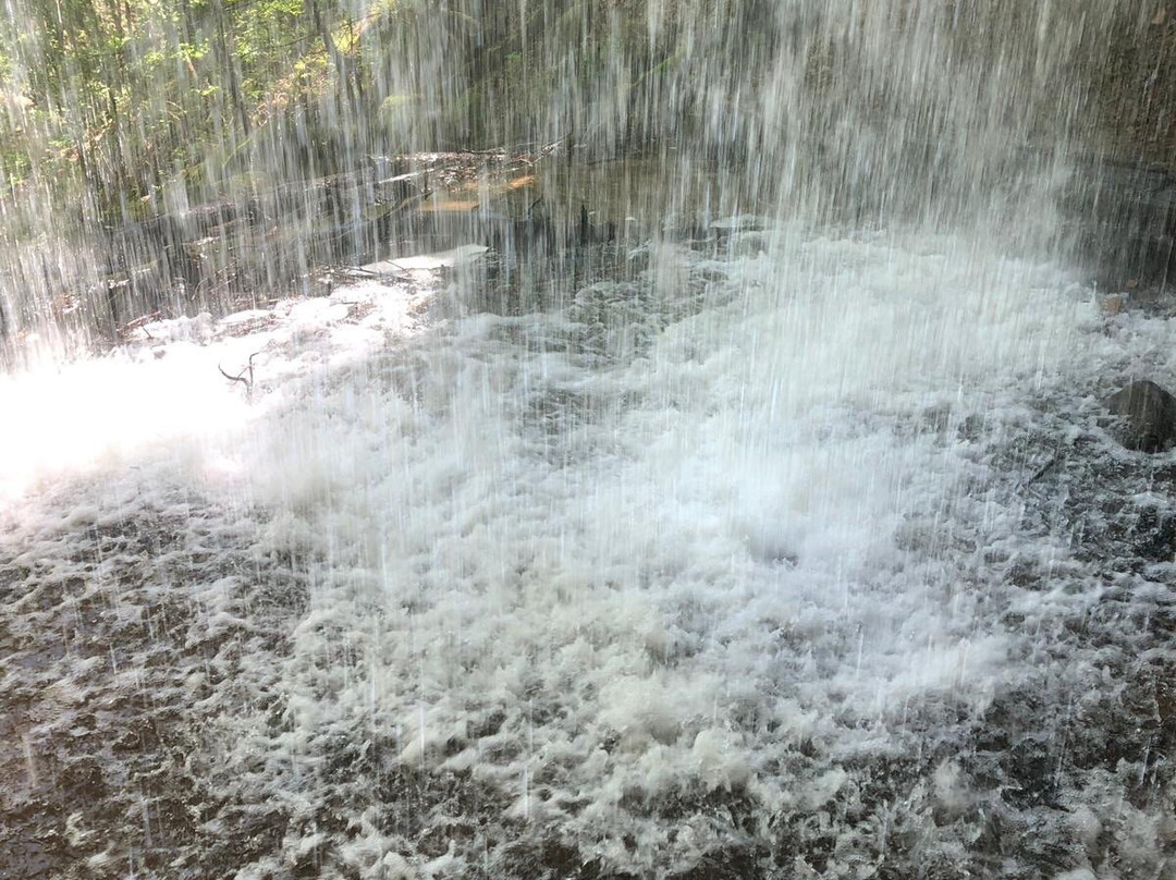 Brown's Creek Trail-斯蒂尔沃特必去景点
