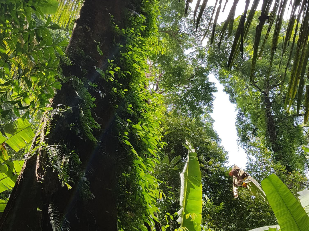 Ton Sai Waterfall-Thep Krasattri必去景点