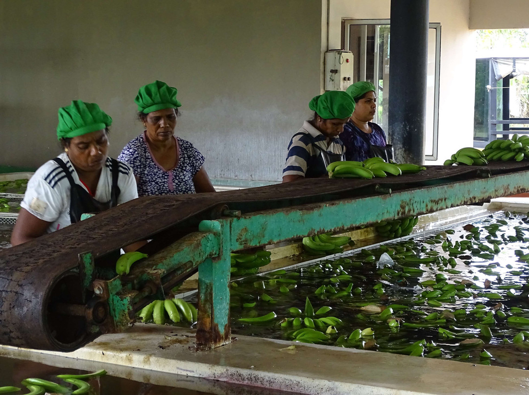 CIC Agri Resort - Windsor Park主图