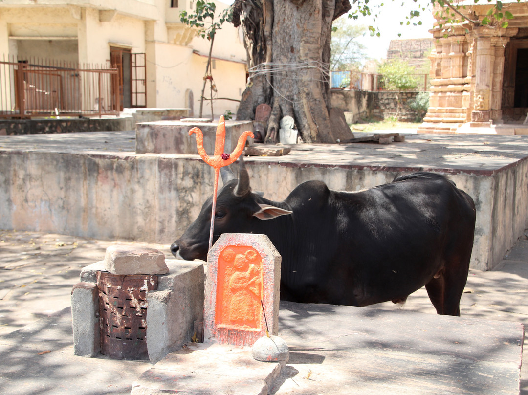 Bijolia Hindu temple-Bijolia必去景点