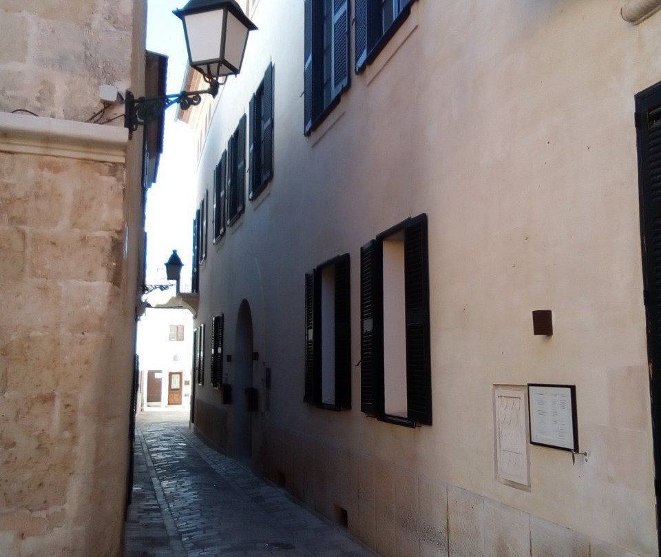 Museo Col.leccio Pintor Torrent-休达德亚必去景点