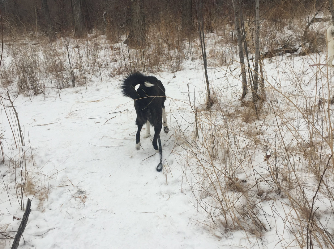 Chief Whitecap Waterway-萨斯卡通必去景点