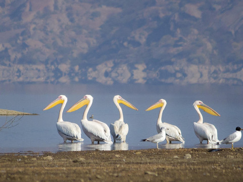 Discover Activities-新德里必去景点