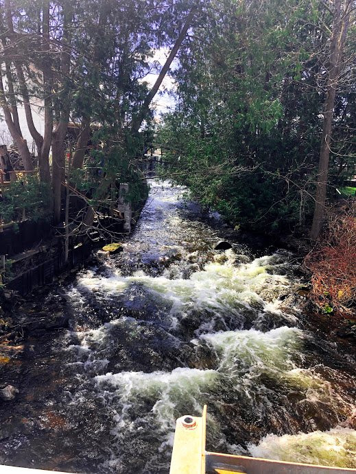 Alton Mill Arts Centre-Alton必去景点